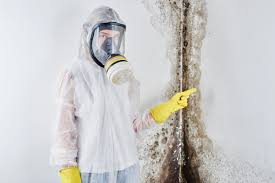 Why You Should Choose Our Mold Remediation Services in Wesley Hills, NY